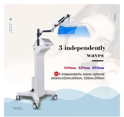 5 ondas independientes 850nm 415nm máquina de terapia de luz LED infrarroja