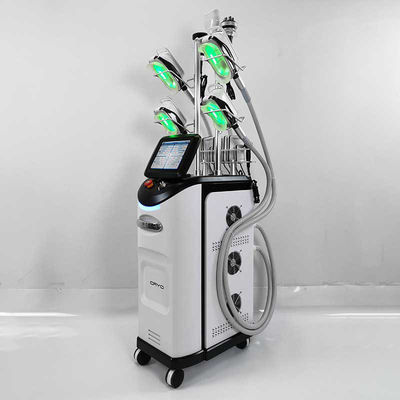 Máquina de Cryolipolysis del CE del abdomen, helada gordo de Cryolipolysis que adelgaza la máquina