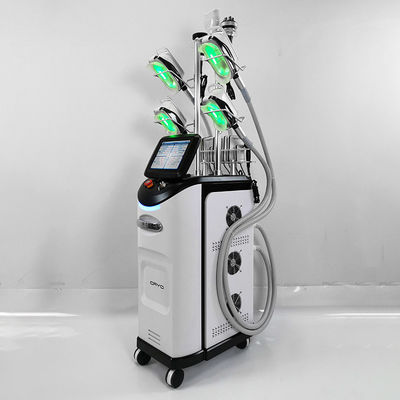 Chin Cryolipolysis Slimming Machine doble 110V 220V